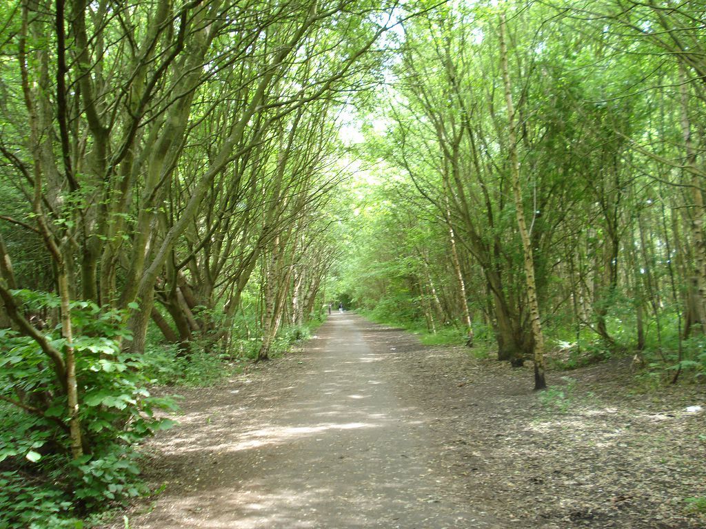Charnwood forest cheap mountain biking
