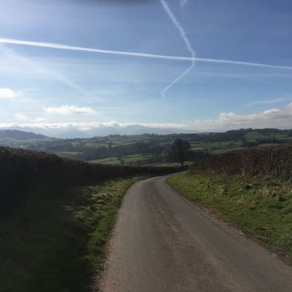 Profile photo for Sue Williams