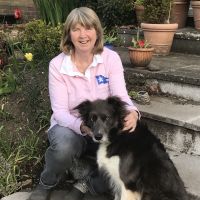 Profile photo for Harriet Ryan