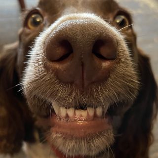 Profile photo for David Culross