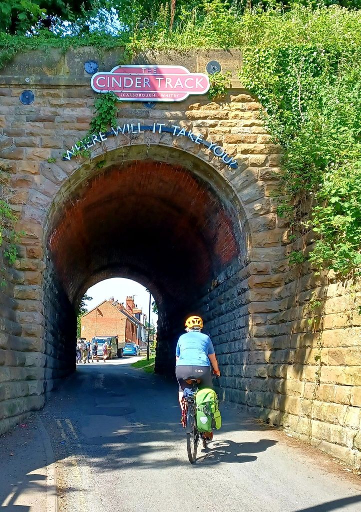 Cinder track bicycles clearance