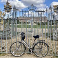 Profile photo for Elizabeth Stirrat