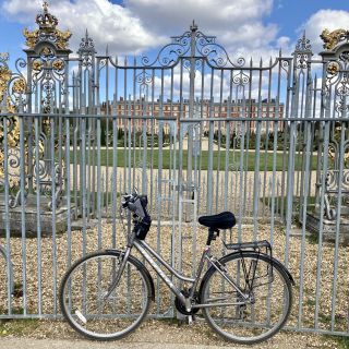 Profile photo for Elizabeth Stirrat