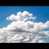 Profile photo for Marie-Louise  Maxey 