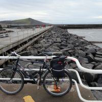 Profile photo for Louise Tranter