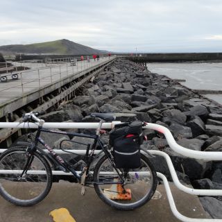 Profile photo for Louise Tranter