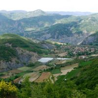 Profile photo for Alison Glithero