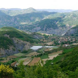 Profile photo for Alison Glithero