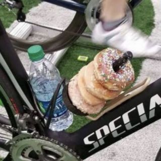 Profile photo for Christine  Webster