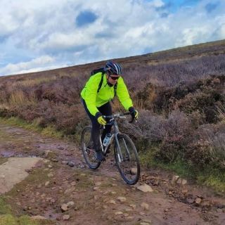 Profile photo for Rob Collins