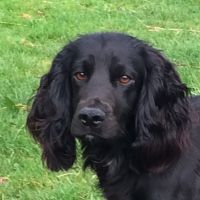 Profile photo for Amanda Winstanley 