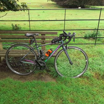 Photo for Linda's Out and About North Hampshire Adventures 