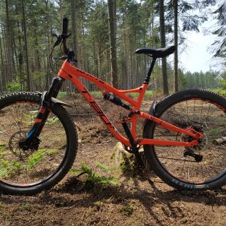 Profile photo for Ben Taylor