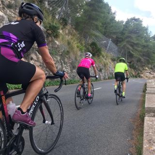 Profile photo for Denise  Ellis 