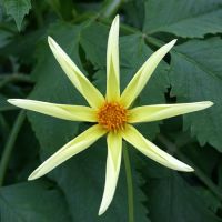 Profile photo for Judith Carter