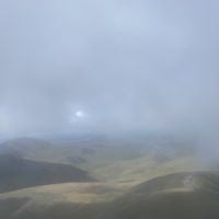 Profile photo for Shereen Tailor