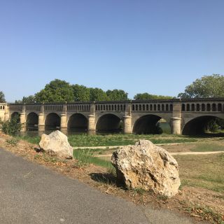 Profile photo for Verna  Stark 