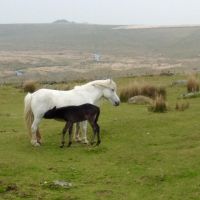 Profile photo for Mel Sellick