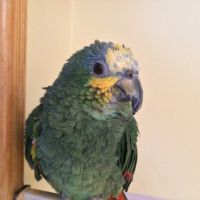 Profile photo for John Smith