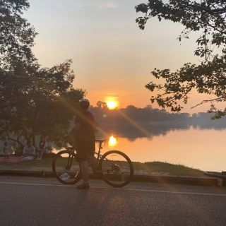 Profile photo for Diane Warburton 