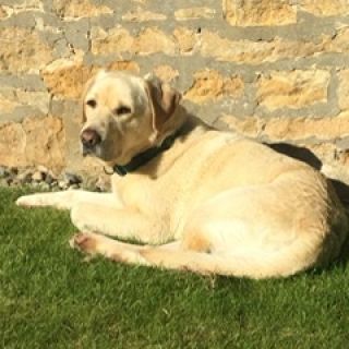 Profile photo for Dawn Hopper