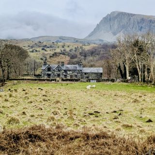 Profile photo for Rey gholiz