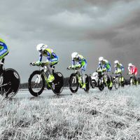 Profile photo for Neil Houghton