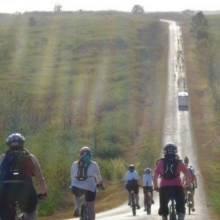 Profile photo for Heather Ward