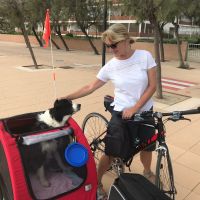 Profile photo for Tracy  McKerrell 