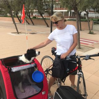 Profile photo for Tracy  McKerrell 