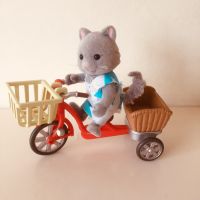 Profile photo for Lisa Robinson