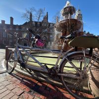 Profile photo for Zoe lewin