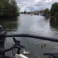 Profile photo for Julie Saunders