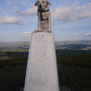 Profile photo for Nigel Howorth