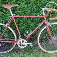 Profile photo for Mick Buckley