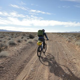 Profile photo for Rebecca Witcombe