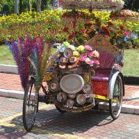 Profile photo for Janet Knott