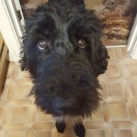 Profile photo for Heather Roberts