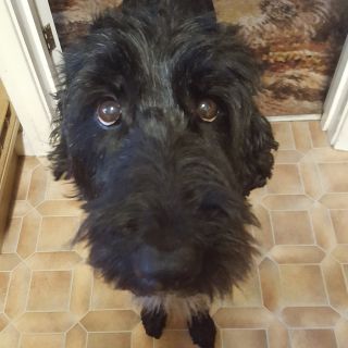 Profile photo for Heather Roberts