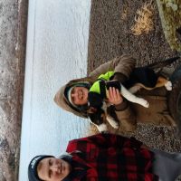 Profile photo for Susan Whincup