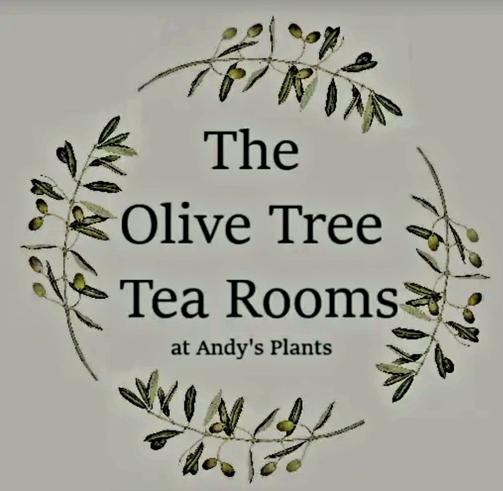 Let's Ride BEGINNER RIDE To The Olive Tree Tea Rooms Inside Andy's