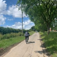 Profile photo for Simon Adams