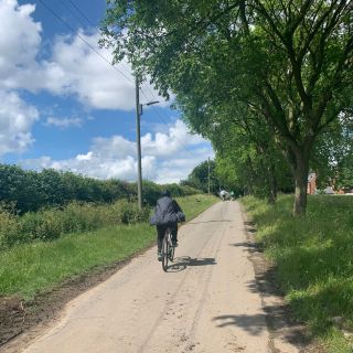 Profile photo for Simon Adams