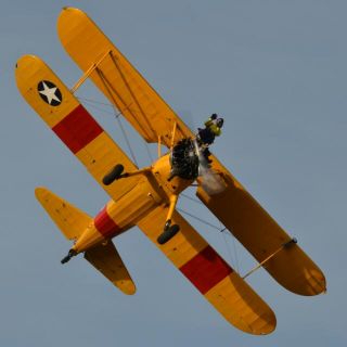 Profile photo for Sandra Morgan