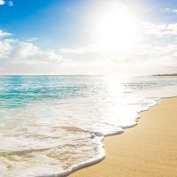 Profile photo for Heidi Plant