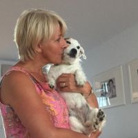 Profile photo for Jo Mulry