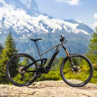 Profile photo for Stuart Eckersley