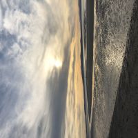 Profile photo for Fiona Macdonald