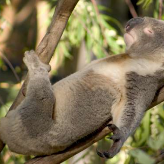 Profile photo for Daniel Bevan