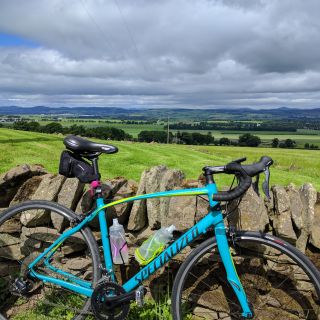 Profile photo for Helen Taylor